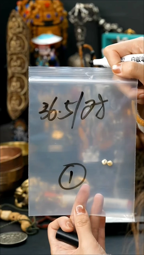 吊坠凤眼菩提01藏传原生态藏传藏品