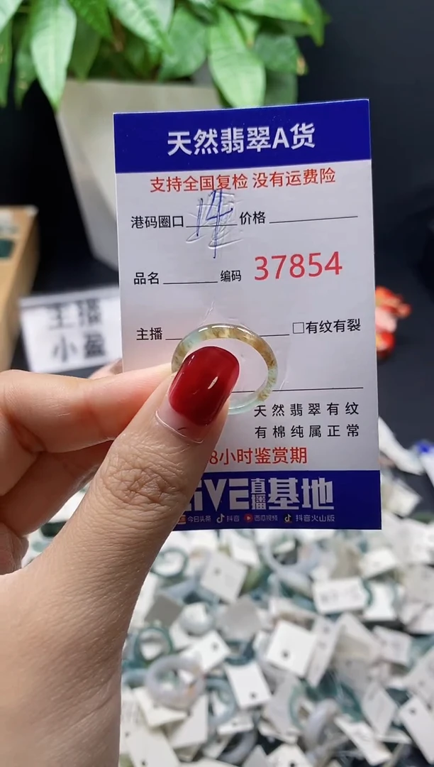 翡翠戒指未镶嵌 天然翡翠戒圈7854
