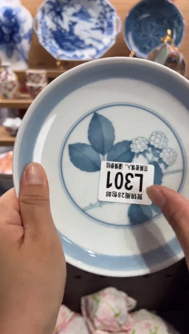 瓷片s***e      L301