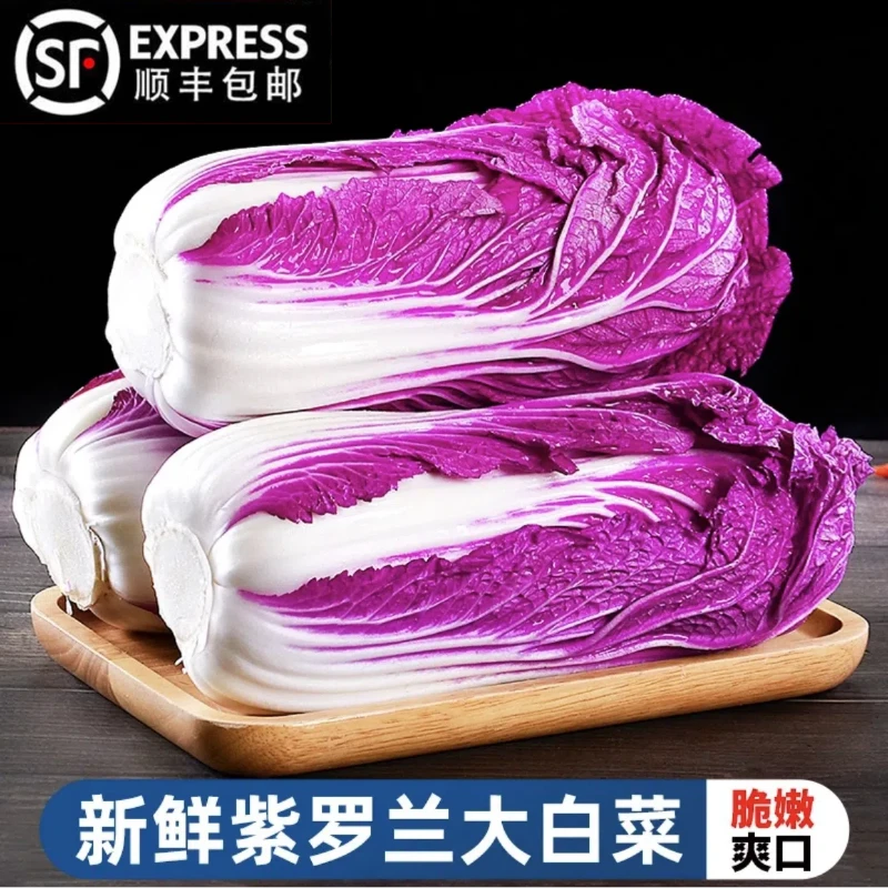 【农家甄选】新鲜紫罗兰白菜山东紫白菜花青素韩国紫裔白菜娃娃菜