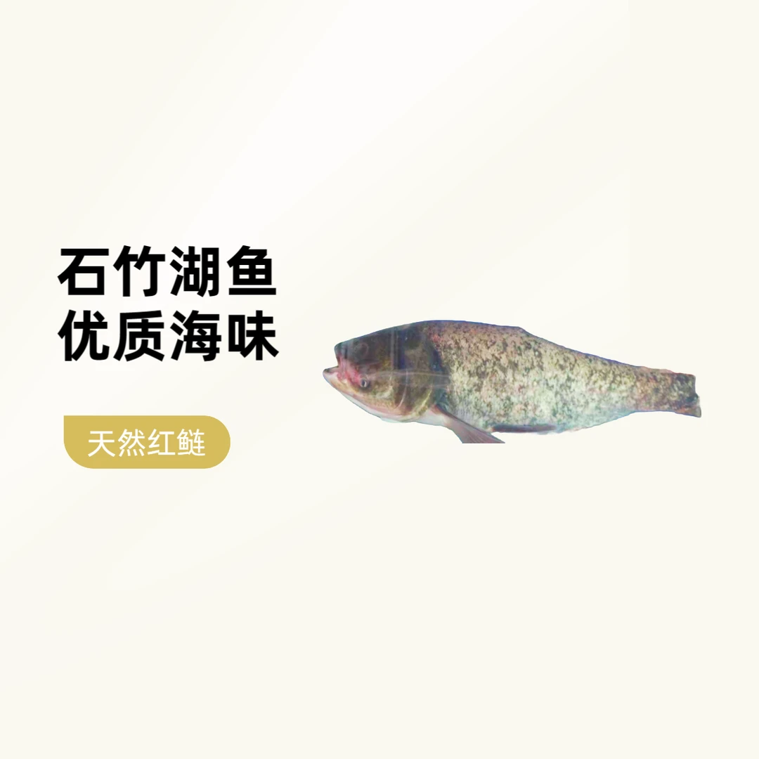 石竹湖纯天然湖鱼 红鲢鱼 高蛋白低脂肪 顺丰包邮 新鲜配送