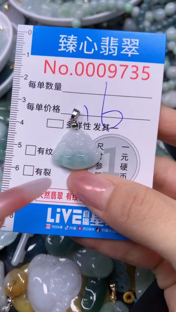 【闪购商品】翡翠颈饰未镶嵌含绳0009735