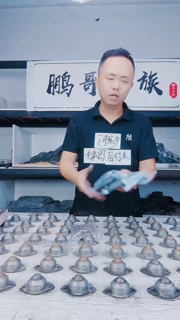 鹏哥水族2号石头