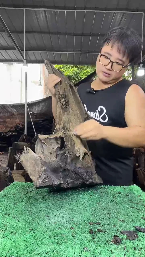 金丝楠小叶桢楠148