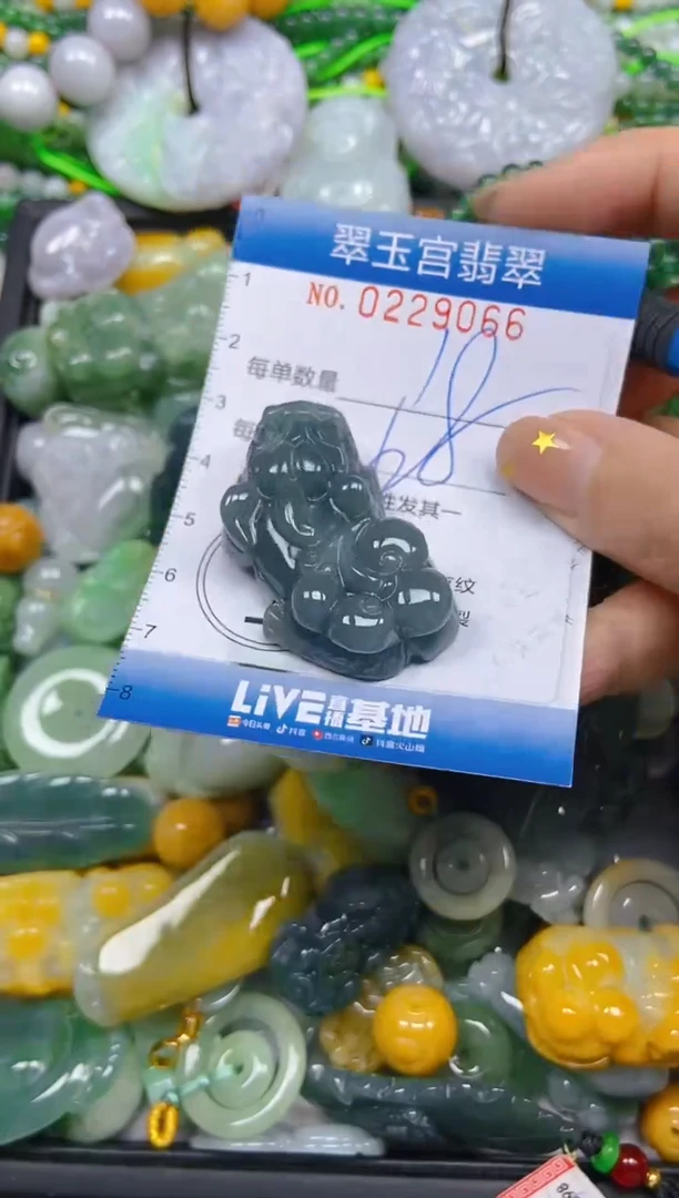 颈饰未镶嵌翡翠闪购C0229066