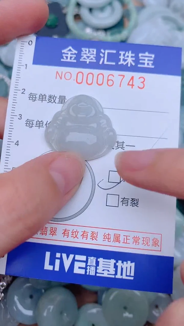 翡翠未镶嵌颈饰6743