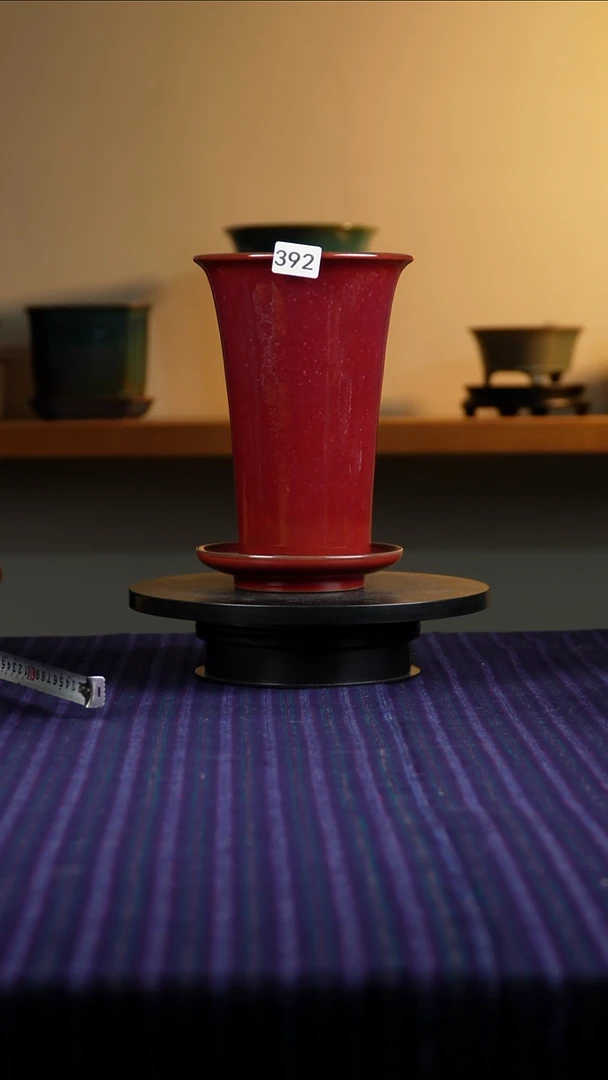 392朗红兰花盆22/20.5/19/15/13