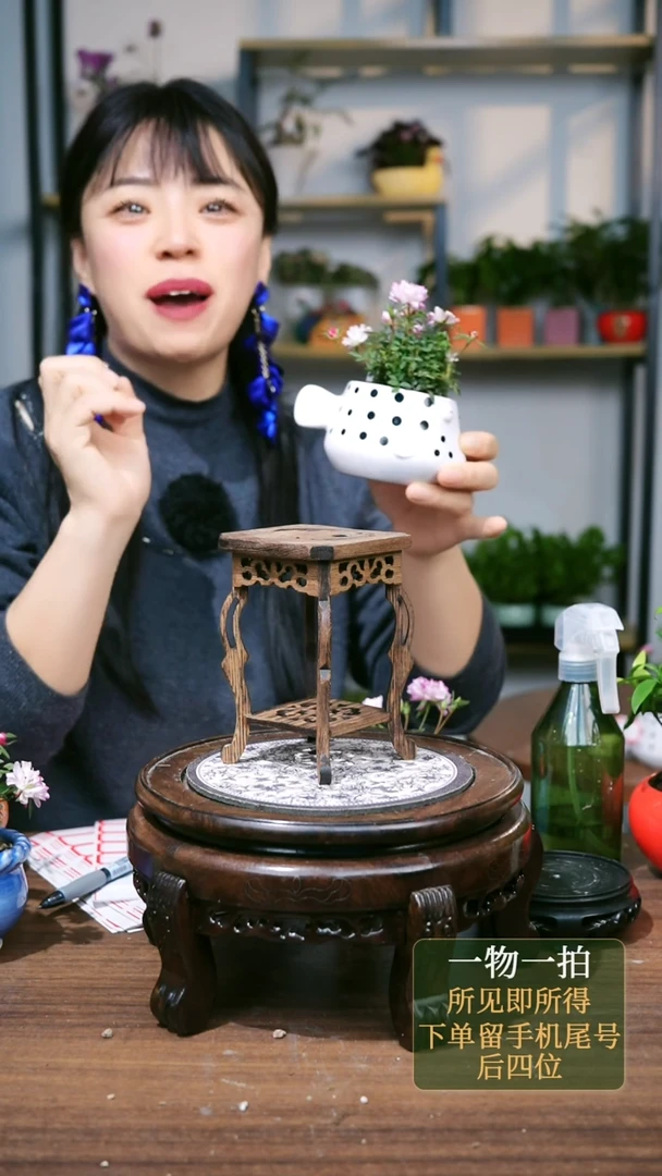 【闪购商品】58--7551海马几3个