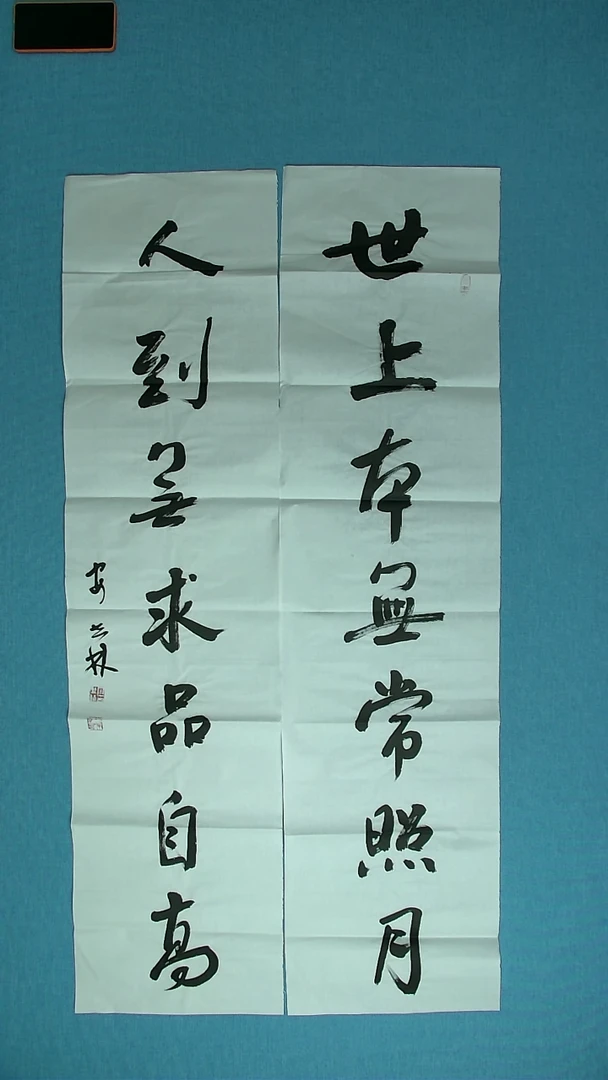 【闪购商品】书法251甘肃安世林中书协138*34*2