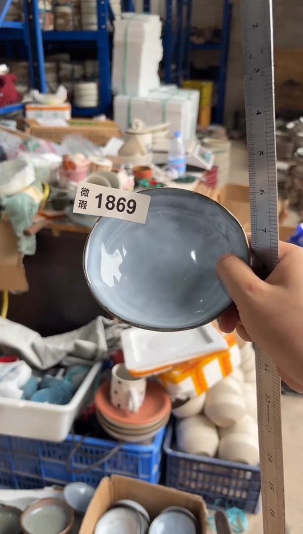 陶瓷1869微瑕陶瓷餐具4个装