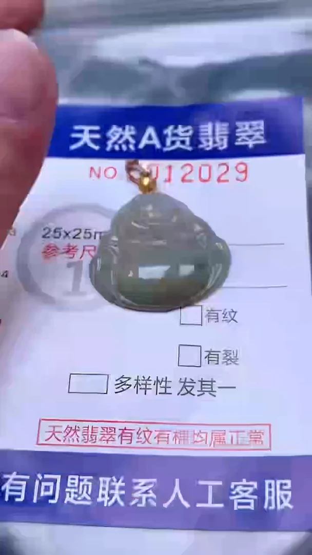吊坠(赠链)未镶嵌翡翠1