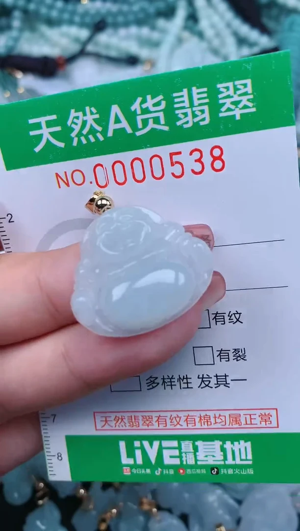 【闪购商品】翡翠颈饰未镶嵌.0000539