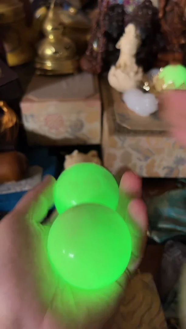 黄杨木11111111111111111111