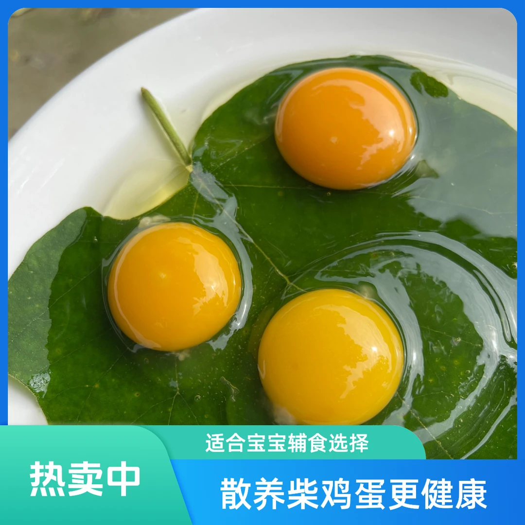 【初生蛋】 散养柴鸡蛋宝宝辅食  京东配送明日达