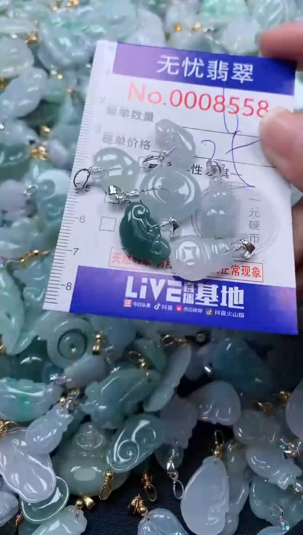 颈饰未镶嵌翡翠8558