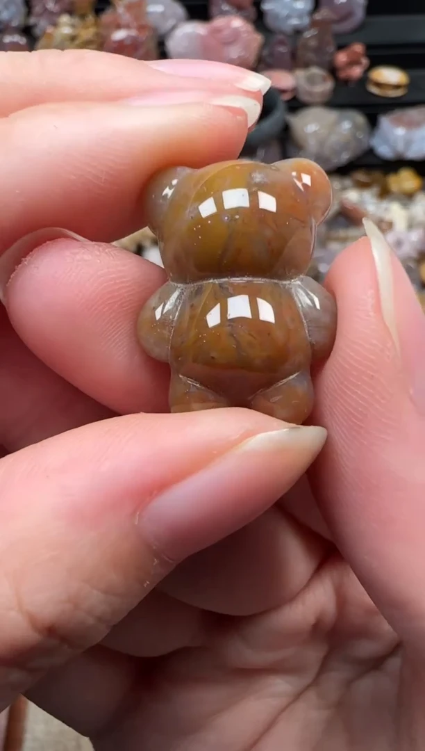 颈饰未镶嵌硅化珊瑚（珊瑚玉）261