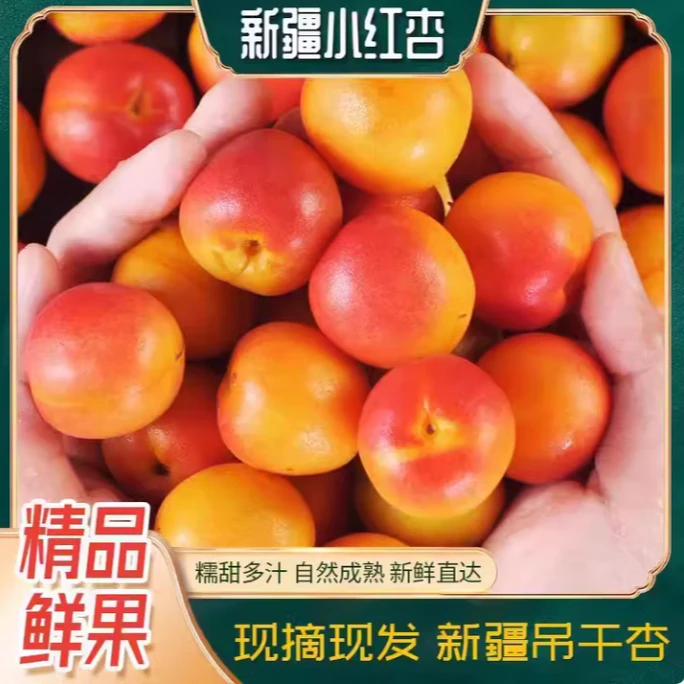 （新疆吊干杏）空运货 纯甜口感 新疆维吾尔族