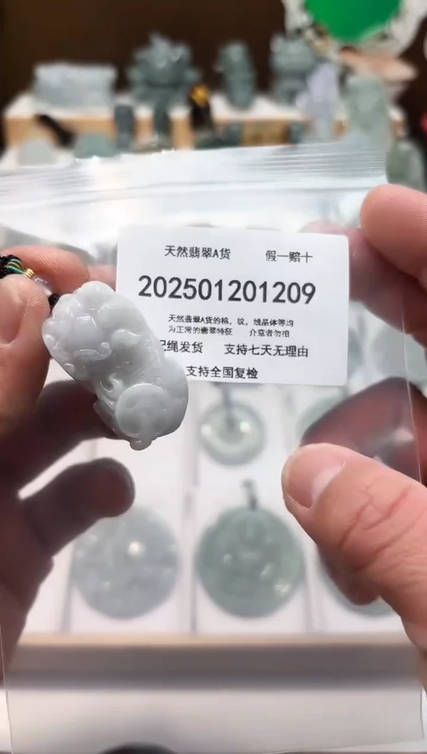 颈饰未镶嵌翡翠纯天然翡翠A货1206