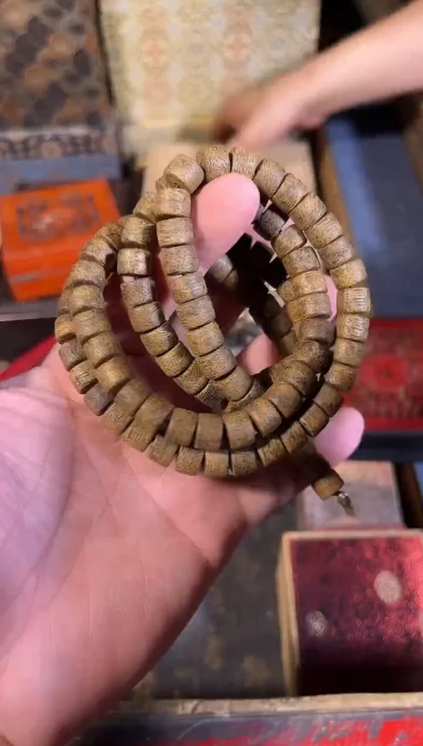 黄杨木11111111111111111
