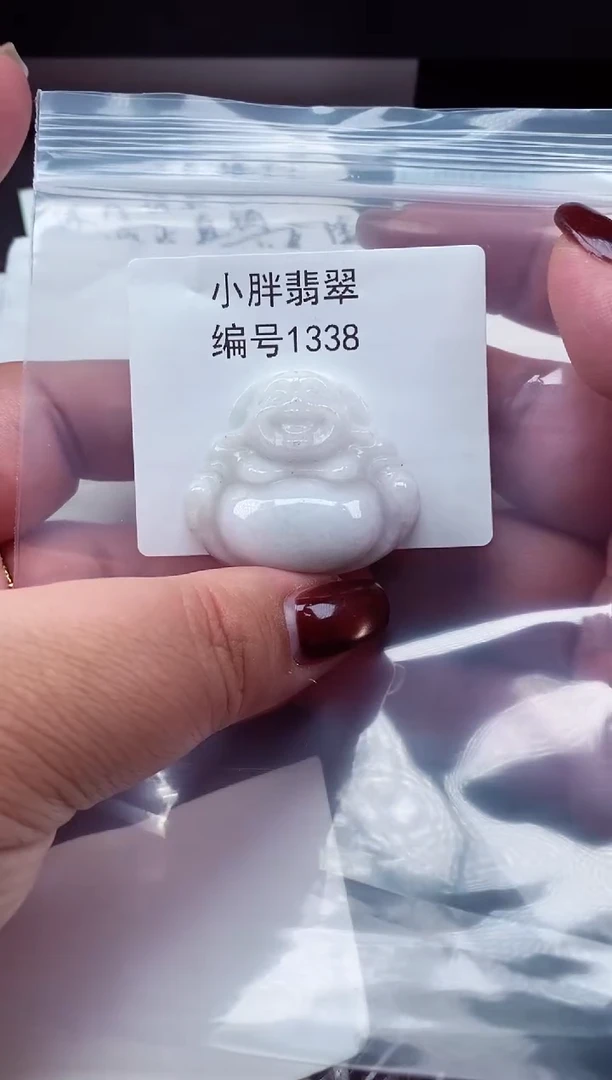 颈饰未镶嵌翡翠缅甸天然A货翡翠1338