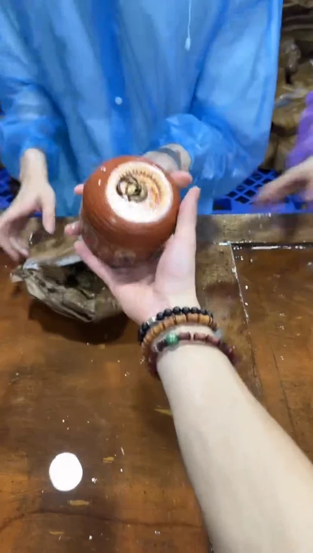 其他@@@@@@@@@@@@@@