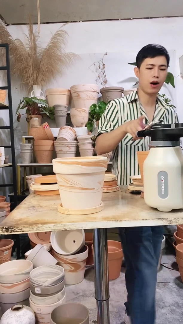 18*16玛奇朵 1盆1托