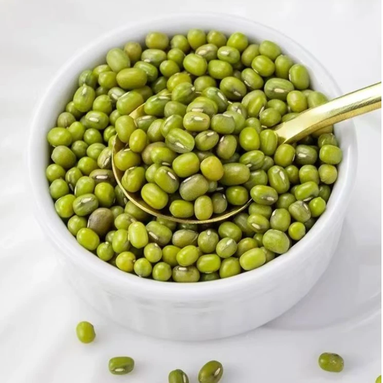 农家自产新鲜绿豆薄皮饱满五谷杂粮煮粥发豆芽