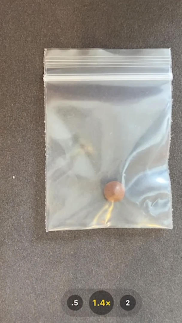 泥塑白哈儿-与实物略有差异介意者勿拍
