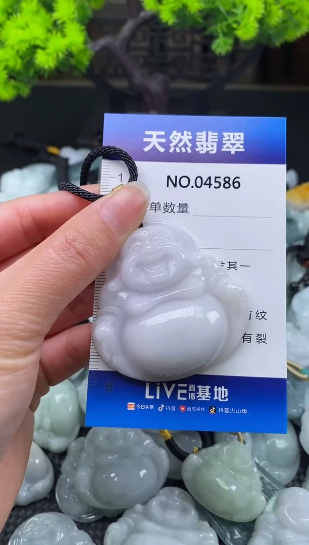 未镶嵌挂件翡翠天然缅甸翡翠4586