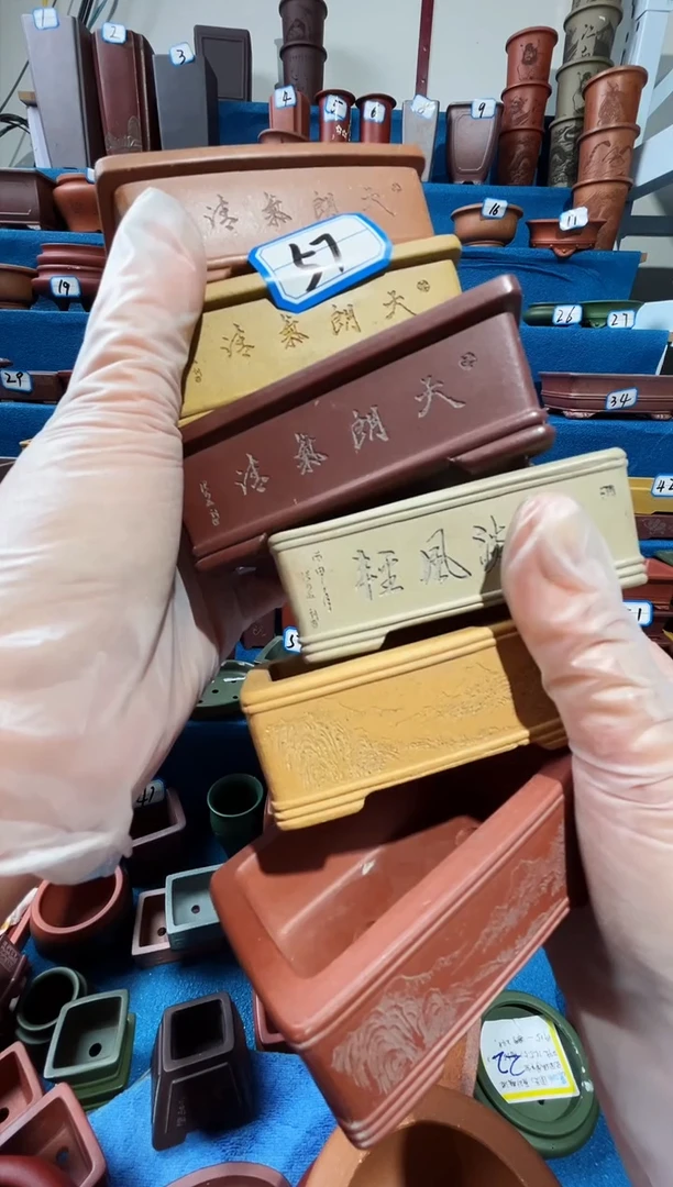 【闪购商品】紫砂紫砂花盆