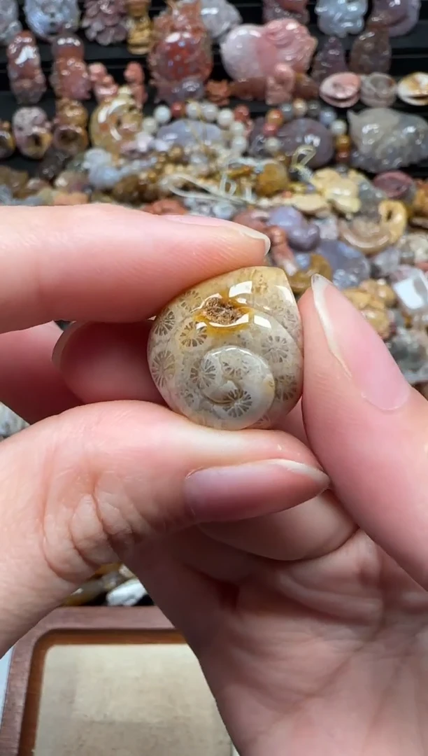 颈饰未镶嵌硅化珊瑚（珊瑚玉）297