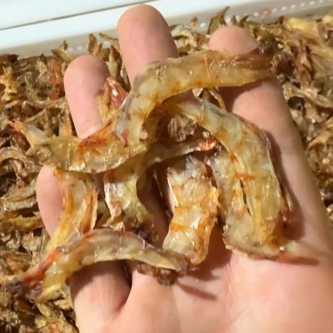 台湾海峡海捕野生海虾虾仁干自然晾晒无添加十斤晒一斤