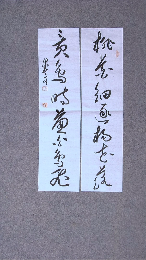 书法苟成文  甘肃定西69*18*2尺寸