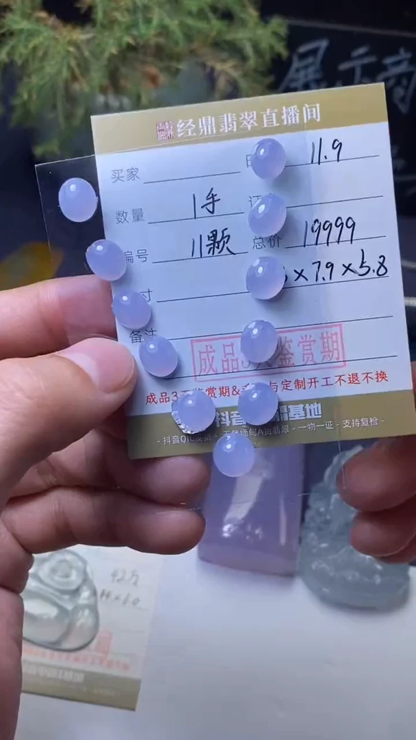 颈饰未镶嵌翡翠挂饰