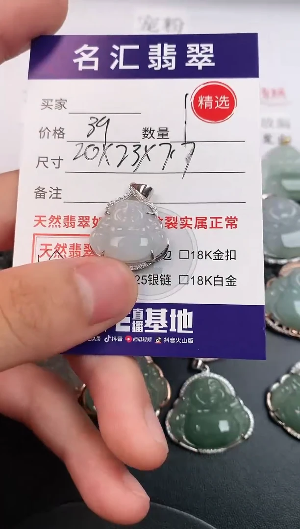 翡翠银S925镶嵌颈饰·