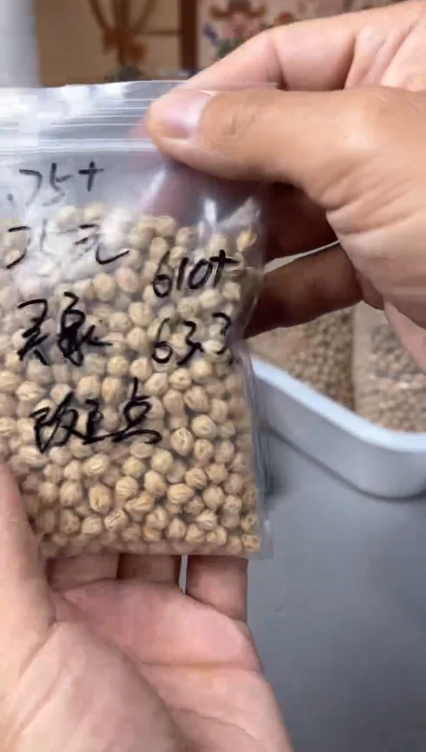 柏香籽/百香籽手串合上柏香热振散籽 斑点