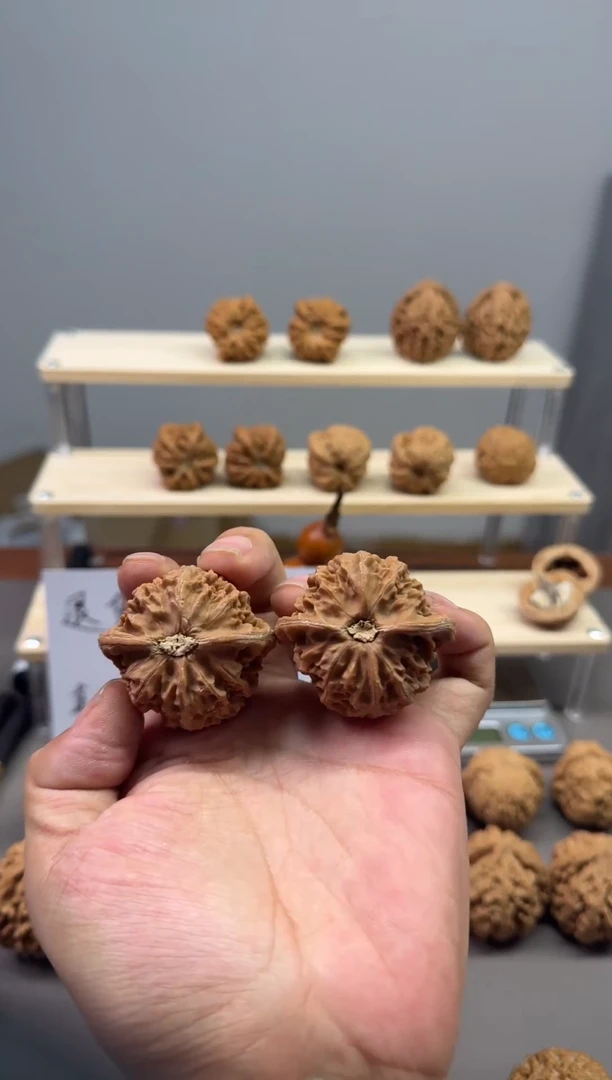 12.30   43全品宫灯，磕尖