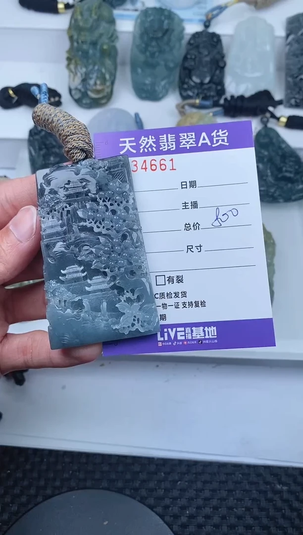 【闪购商品】翡翠颈饰未镶嵌       661