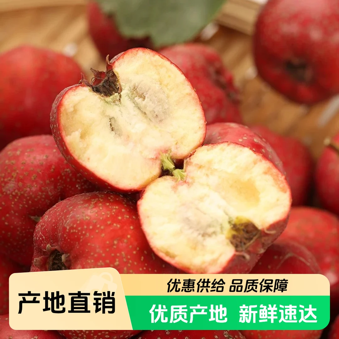 【小吴助农】本地小金星山楂 2.5斤 软糯酸甜 口感酸甜