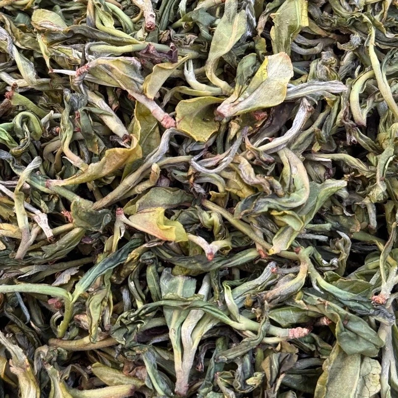春2025年3月17日（75棵曼松古树）散茶普洱茶生茶