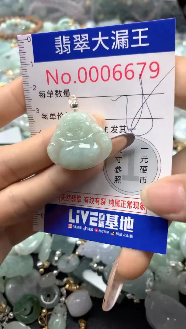 翡翠未镶嵌吊坠(不含链)6679