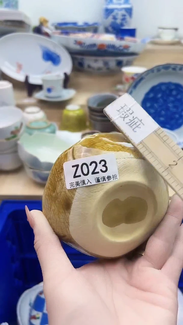 【闪购商品】瓷片023