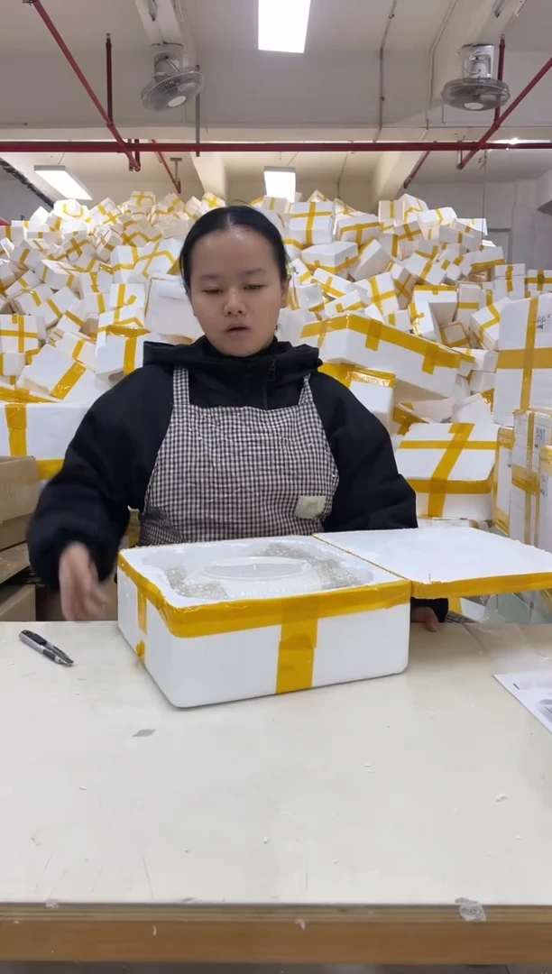 【闪购商品】瓷1222-43