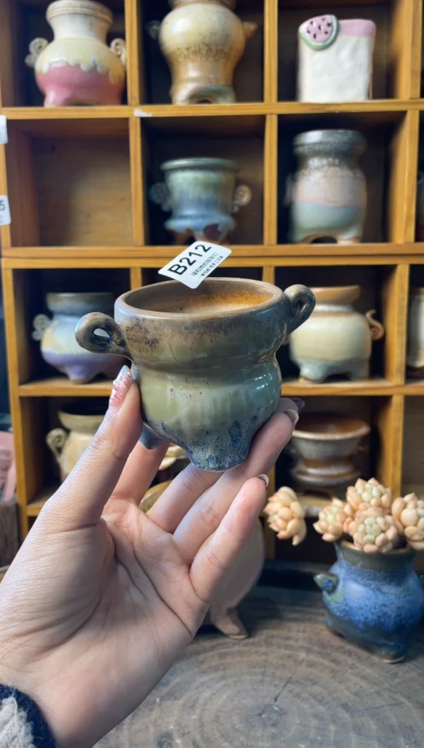 星*?212【多肉花盆多肉盆】