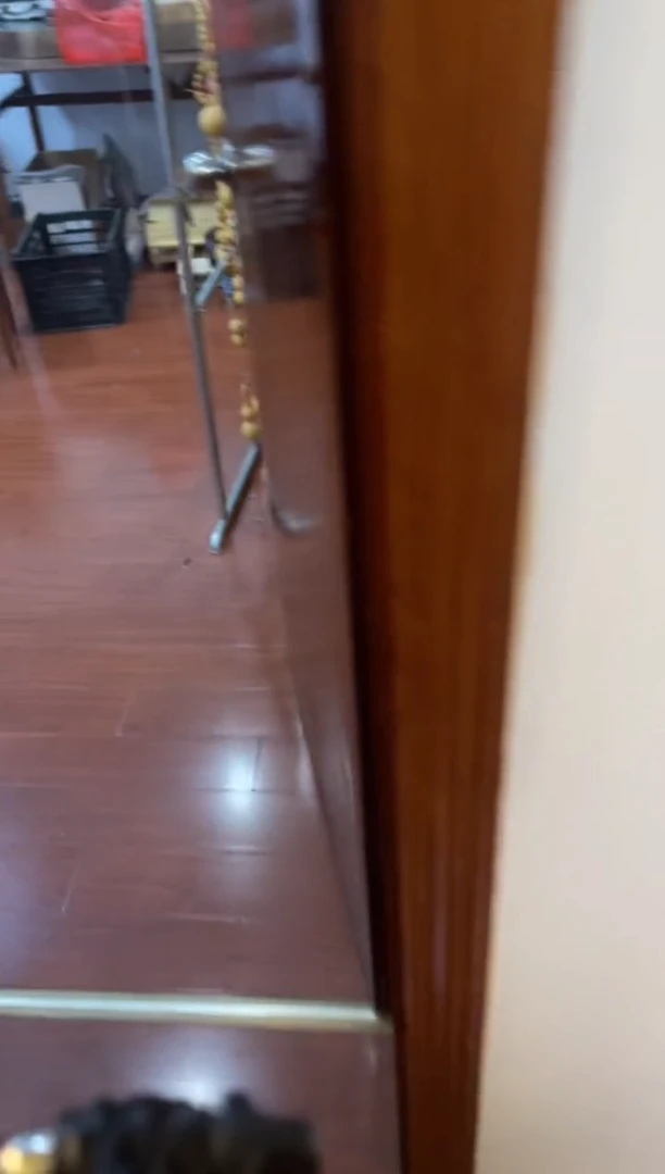 天****^文玩葫芦 八宝葫芦 八宝杆子