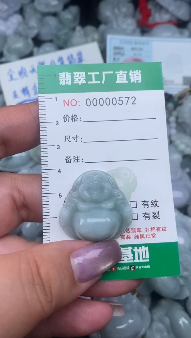 翡翠未镶嵌颈饰天然A货翡翠0572