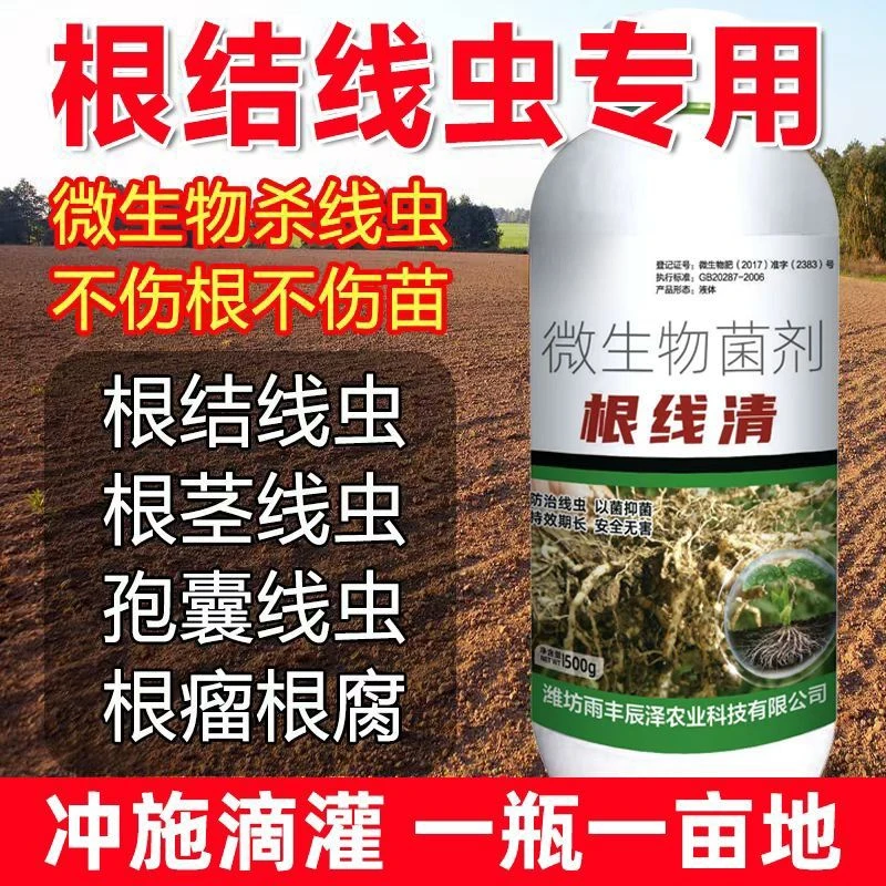 【安全无害】农用根线清根结线虫专用药淡紫孢菌清根结根瘤根线地下