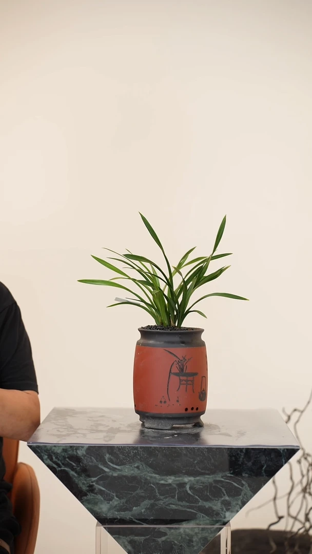 全部花朵020号【一物一拍】艺术盆景