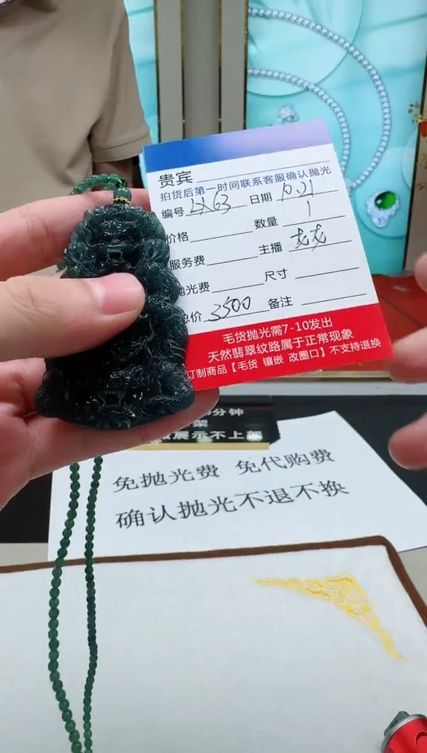 未镶嵌定制翡翠LX63翡翠吊坠带珠链-多样性发其一