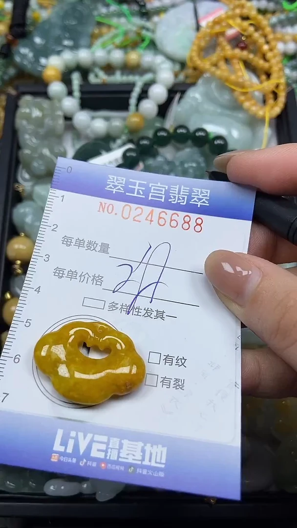 颈饰未镶嵌翡翠闪购C0246688